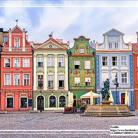 Wilda Cinema Spot بوزنان